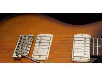 PRS SE DGT Standard Moons MTS PRS SE DGT Standard Moons MTS